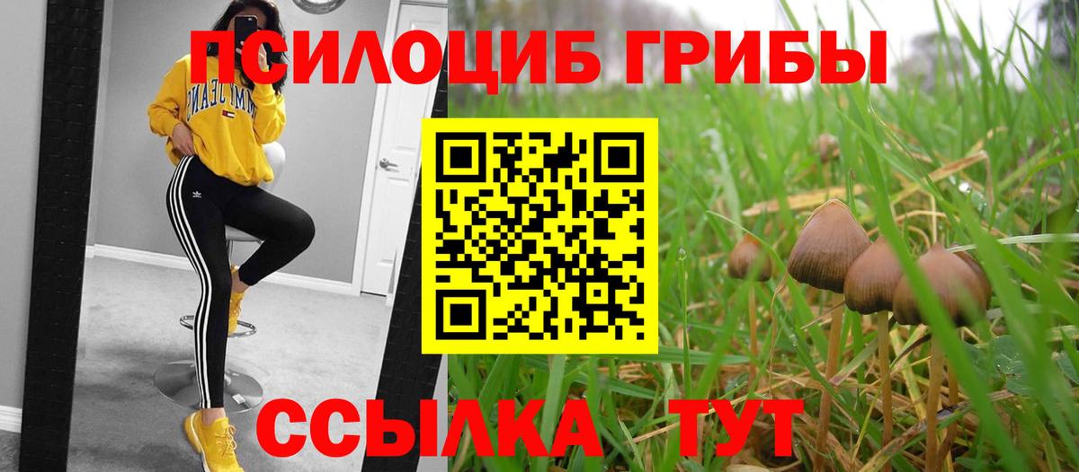 закладка  Вход с VPN  Галлюциногенные грибы GOLDEN TEACHER  Кольчугино  Галлюциногенные грибы Magic Shrooms 
