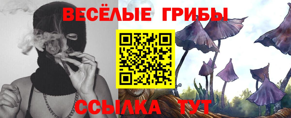 Псилоцибиновые грибы Cubensis Кольчугино
